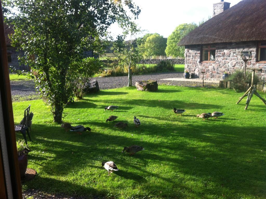 Clan Cottages Oban Room photo
